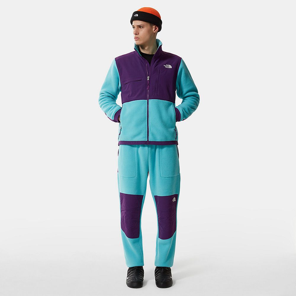 The North Face Pants Mens Australia - The North Face Denali Blue / Purple (XJS-921583)